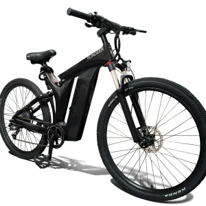 Rundeer Starry Sky 3K Carbon Fiber Electric Bike