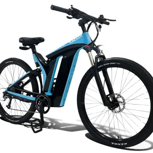 Rundeer Starry Sky UD Carbon Fiber Electric Bike